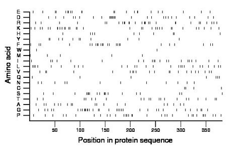 amino acid map