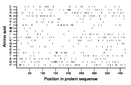 amino acid map