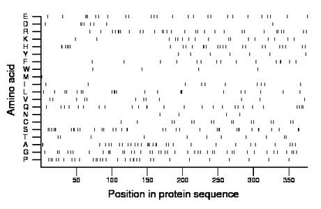 amino acid map