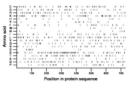 amino acid map