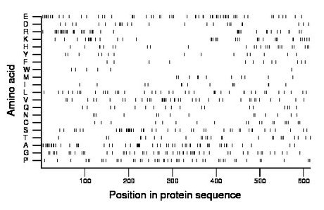 amino acid map