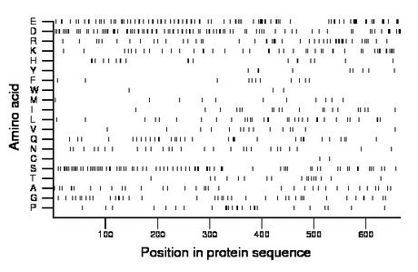 amino acid map