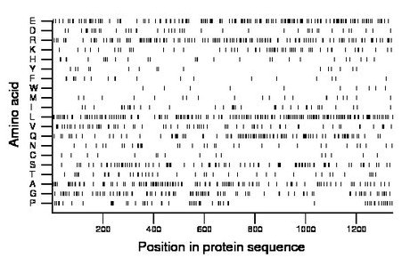 amino acid map