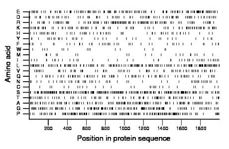 amino acid map