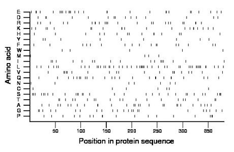 amino acid map