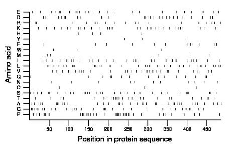 amino acid map