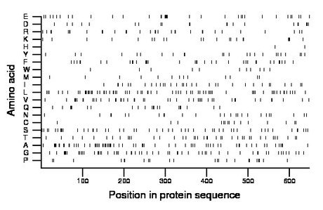 amino acid map