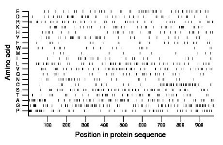 amino acid map