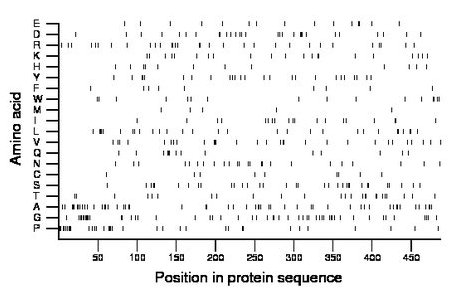 amino acid map