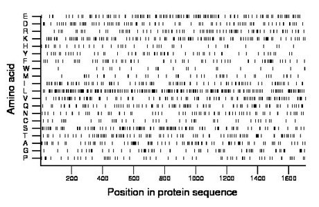 amino acid map