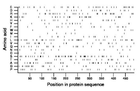 amino acid map