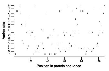 amino acid map