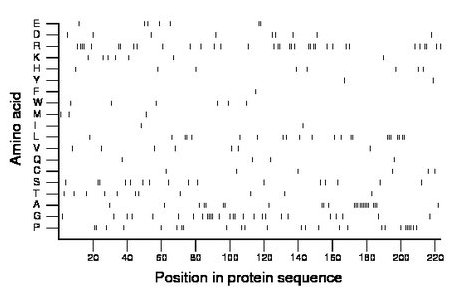 amino acid map