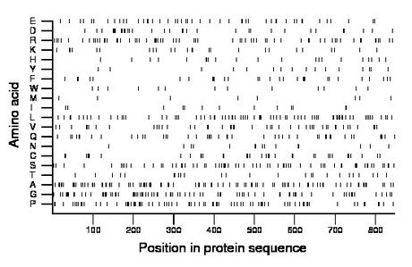 amino acid map