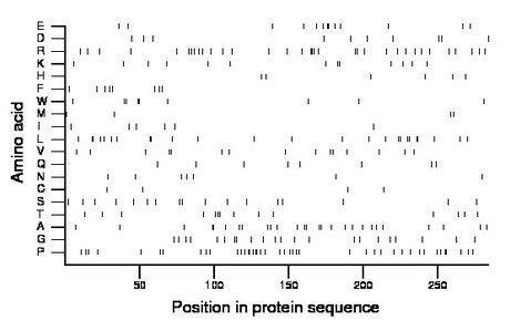 amino acid map