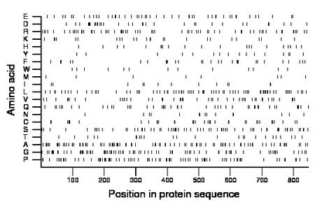 amino acid map