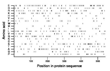 amino acid map