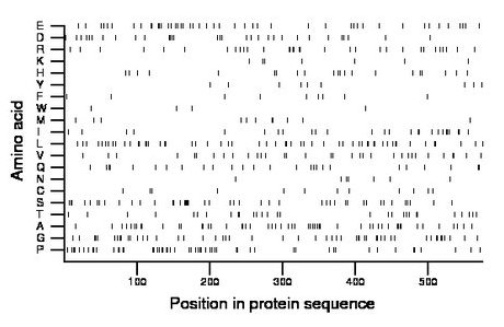 amino acid map