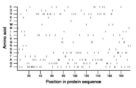 amino acid map