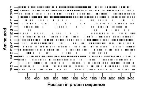 amino acid map