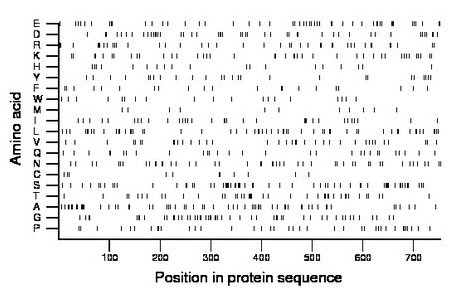 amino acid map