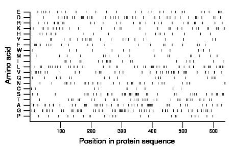 amino acid map