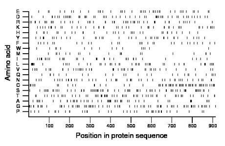 amino acid map