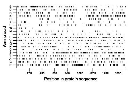 amino acid map