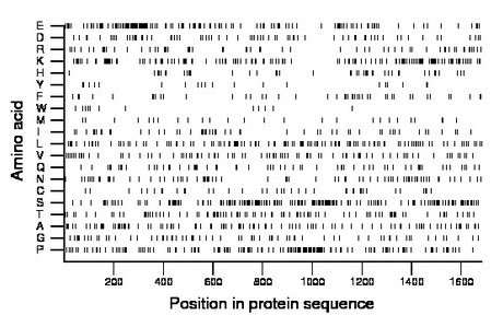 amino acid map