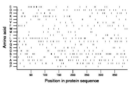 amino acid map