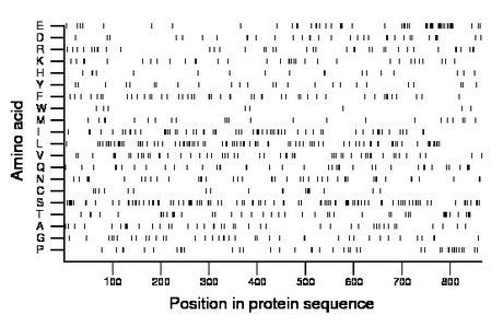 amino acid map