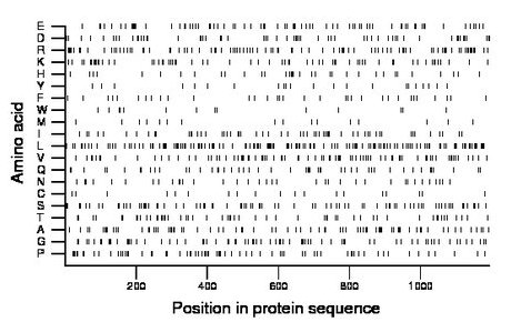 amino acid map