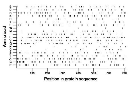 amino acid map