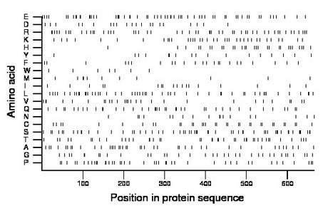 amino acid map