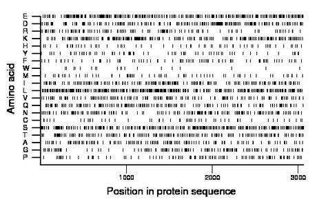 amino acid map