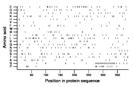 amino acid map