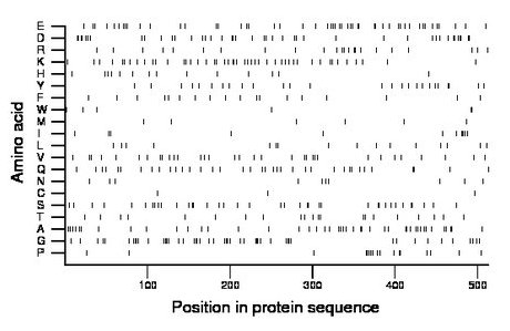 amino acid map