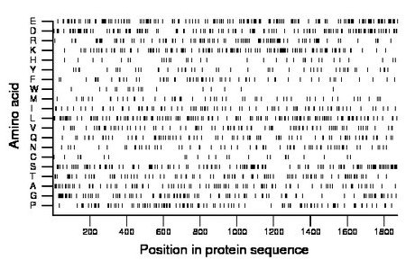 amino acid map