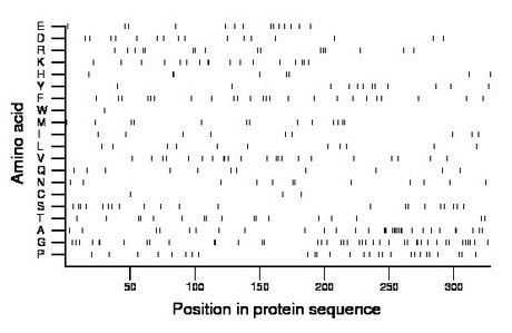 amino acid map