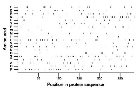 amino acid map