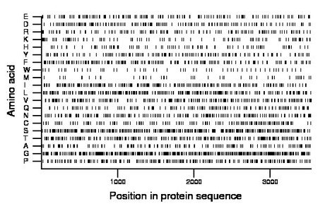 amino acid map