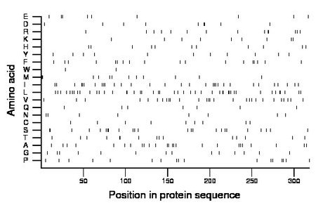 amino acid map