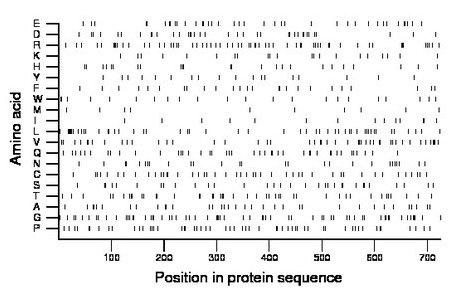 amino acid map