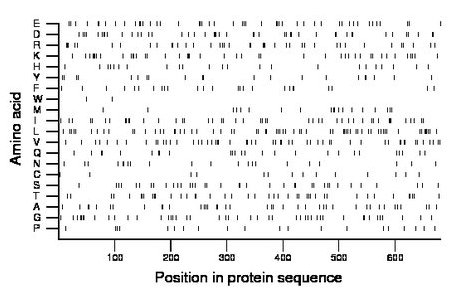 amino acid map