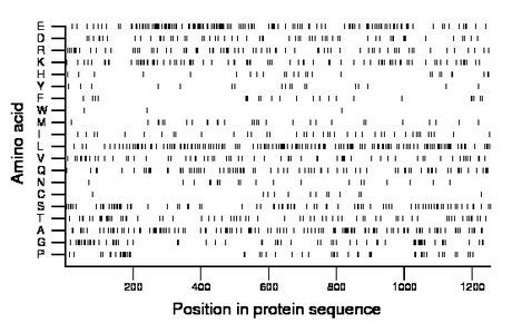 amino acid map