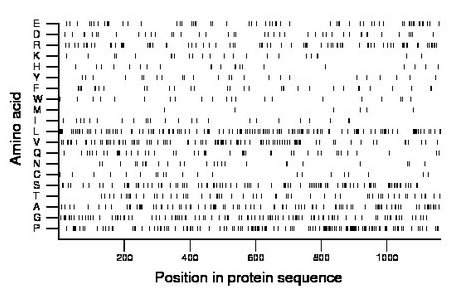 amino acid map