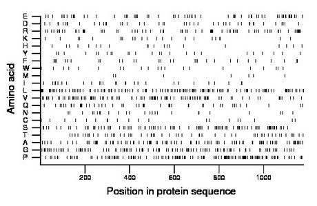 amino acid map