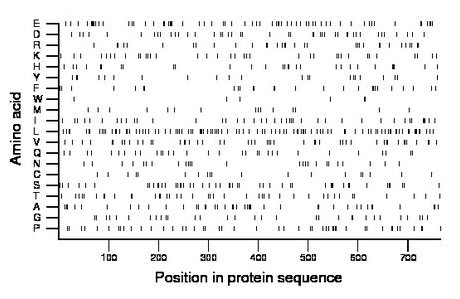 amino acid map