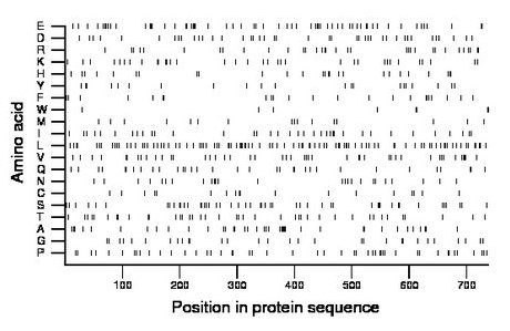 amino acid map