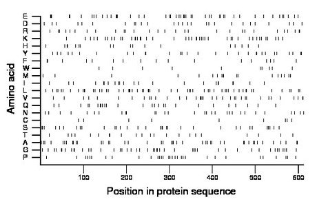 amino acid map